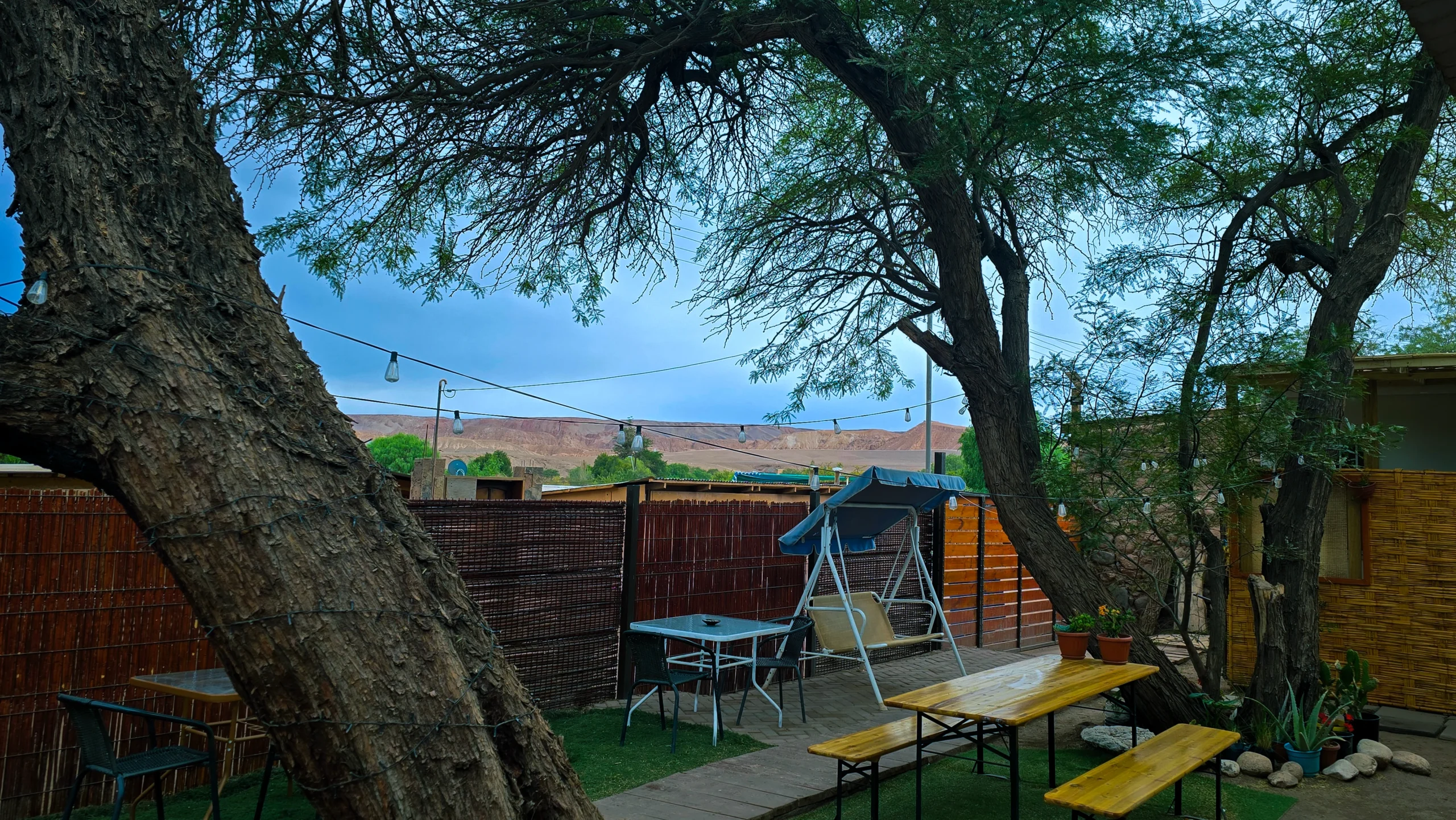 Inner patio with trees, chairs, and rustic decor, Hostal Perita