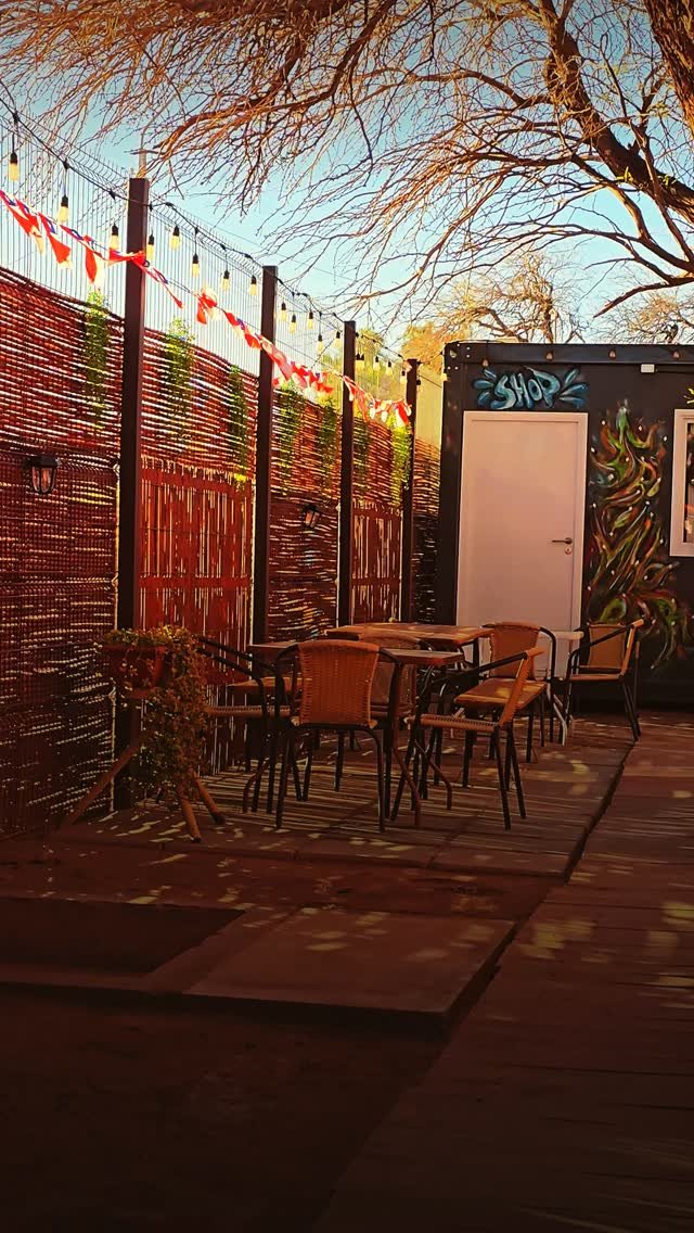 En la casa viven dos gatas negras, y el patio es su territorio. 🍐