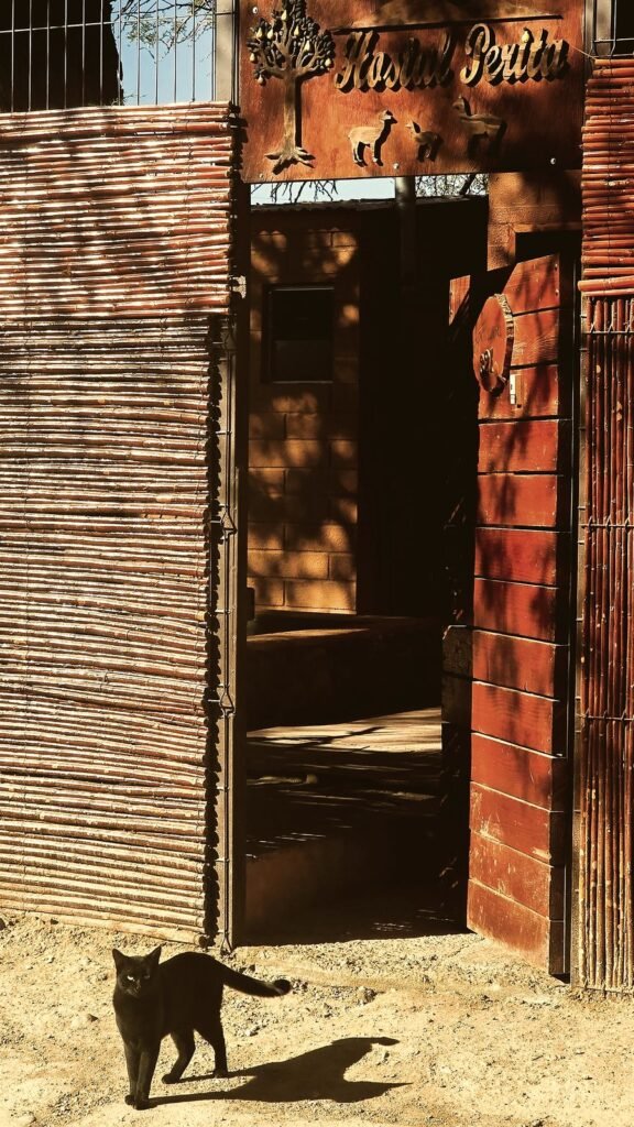 Entrada de madera con gato negro