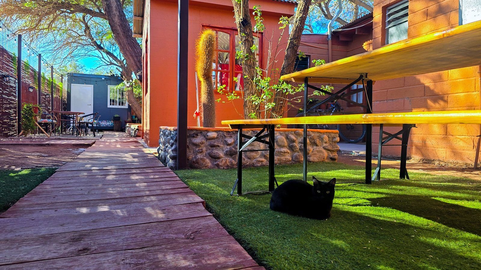 Patio de Hostal Perita con pasarela de madera y gato negro al sol